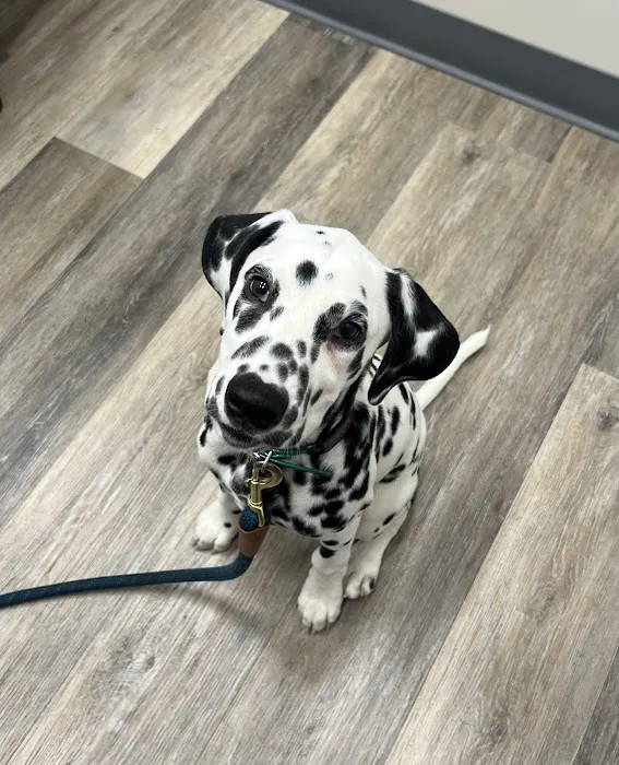 Owings Mills Veterinary Center 6