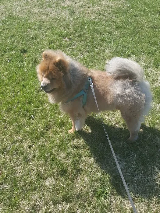 Liberty Animal Clinic 12