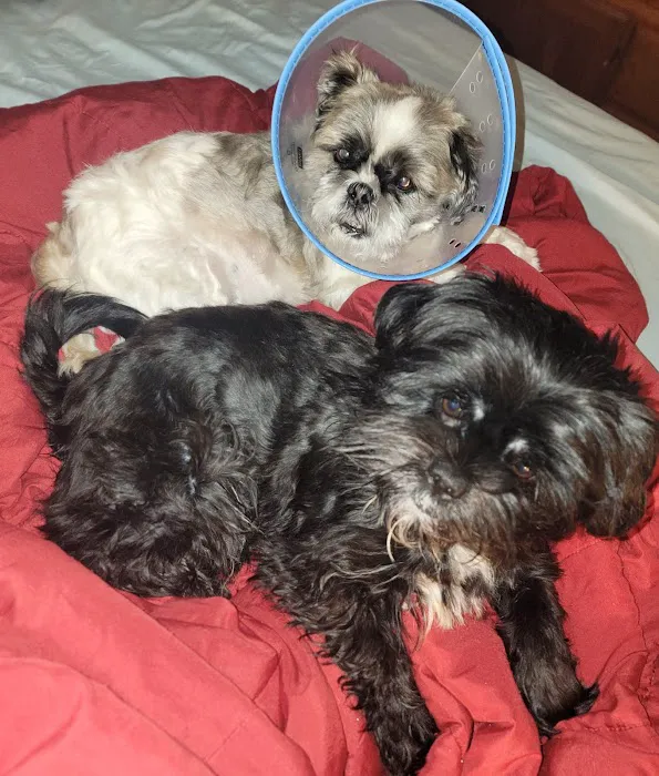 Liberty Animal Clinic 12