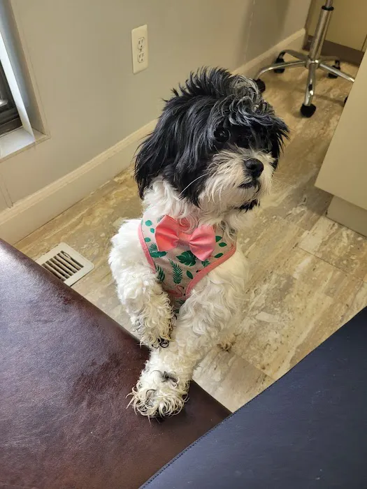 Liberty Animal Clinic 12