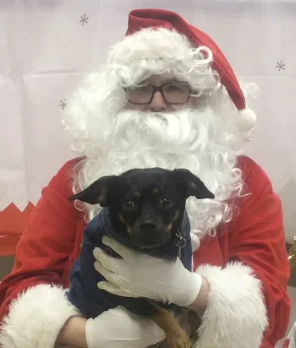 Banfield Pet Hospital 6