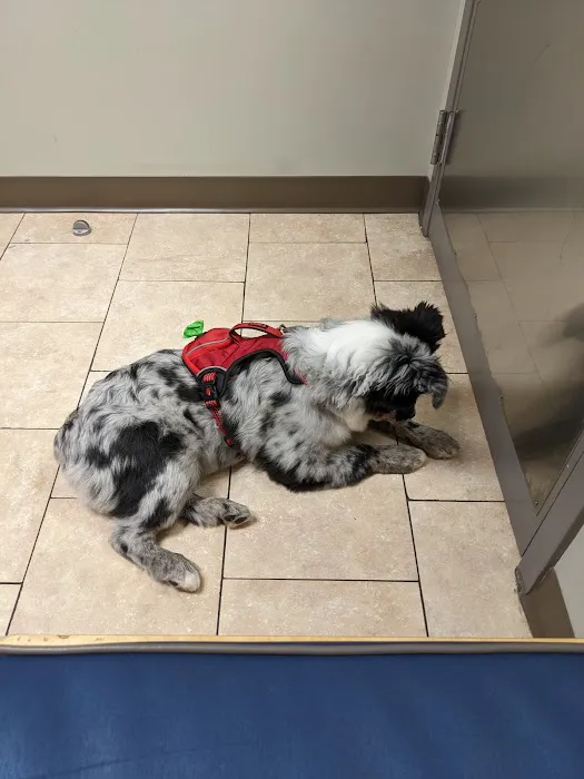 Timonium Animal Hospital 6