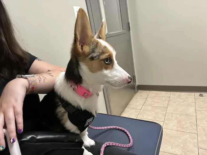 Timonium Animal Hospital 2