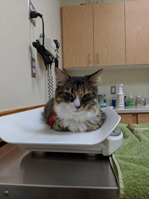 Timonium Animal Hospital 3