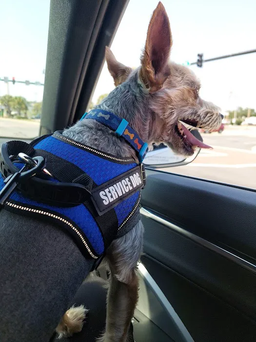 Banfield Pet Hospital 12