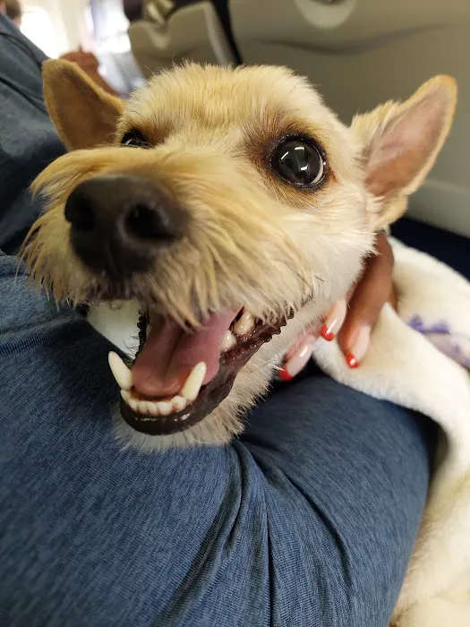 Banfield Pet Hospital 12
