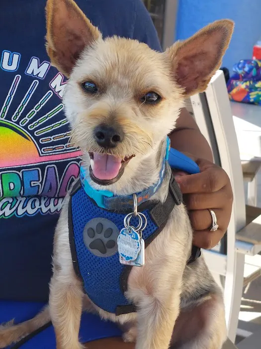 Banfield Pet Hospital 12