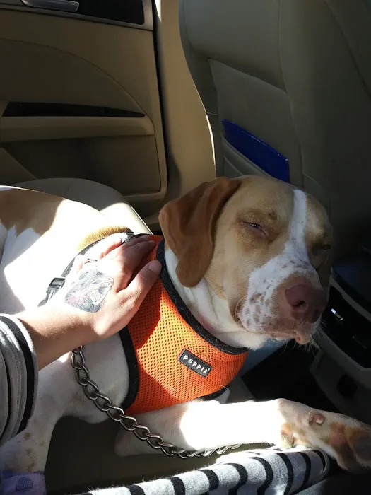MD SPCA Spay & Neuter Clinic 8
