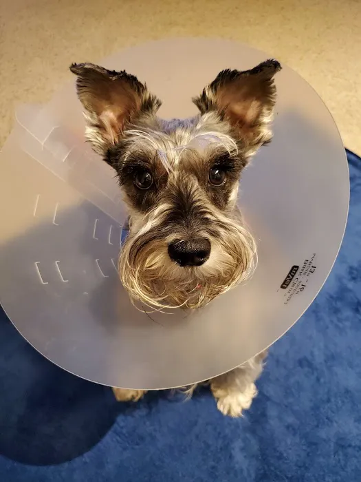 MD SPCA Spay & Neuter Clinic 3