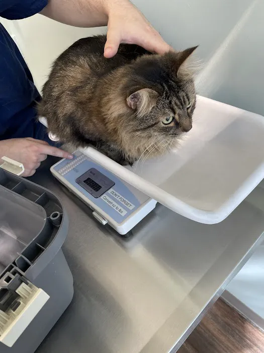 Hampden Veterinary Hospital 3