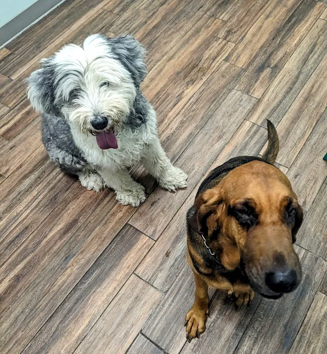 Hampden Veterinary Hospital 2