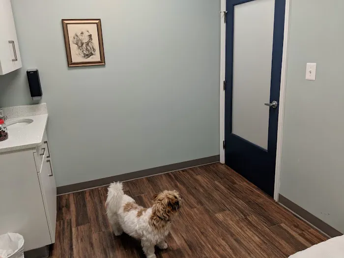 Hampden Veterinary Hospital 1