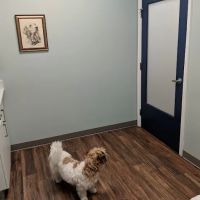 Hampden Veterinary Hospital ico