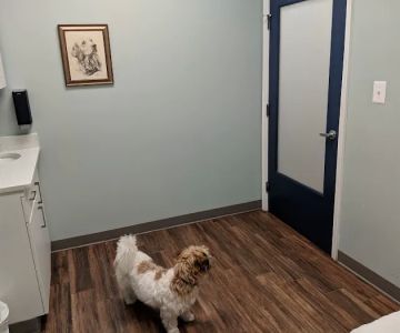 Hampden Veterinary Hospital