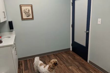 Hampden Veterinary Hospital