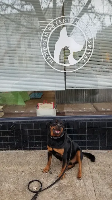 Hampden Veterinary Hospital 6