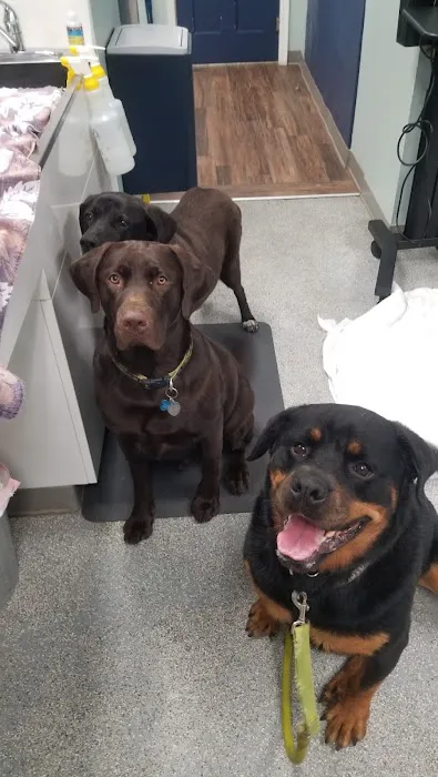 Hampden Veterinary Hospital 4