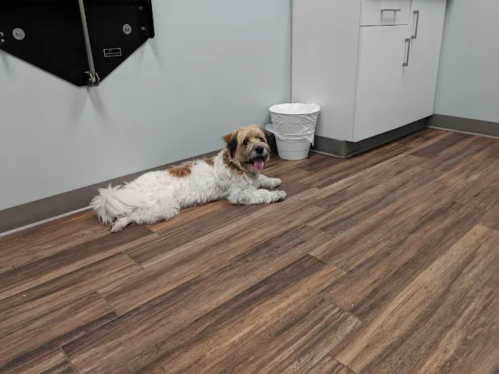 Hampden Veterinary Hospital 5