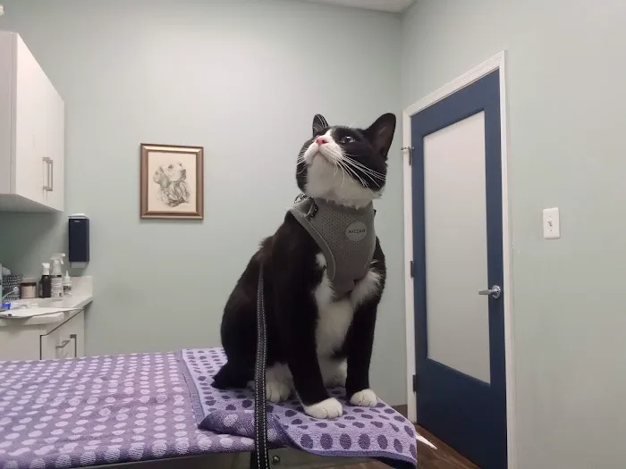 Hampden Veterinary Hospital 7