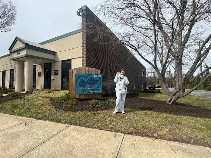 Animal Dental Center 12