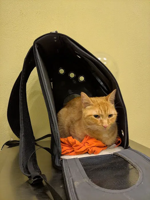 Animal Dental Center 12