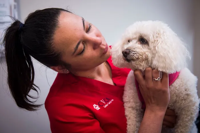 CVCA Cardiac Care For Pets 12