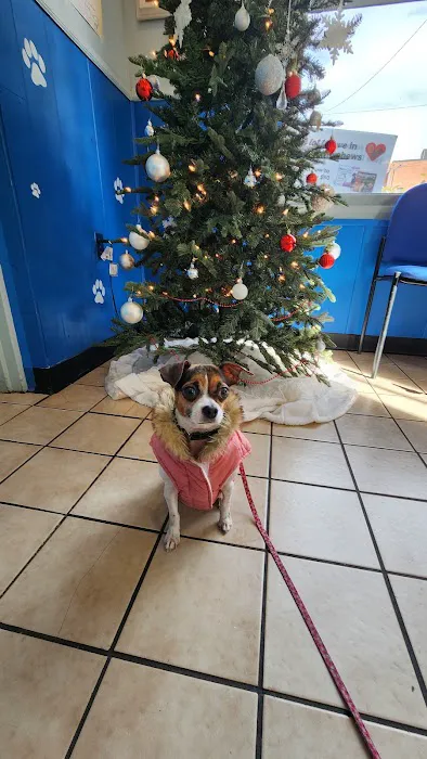 Aardmore Veterinary Hospital 12