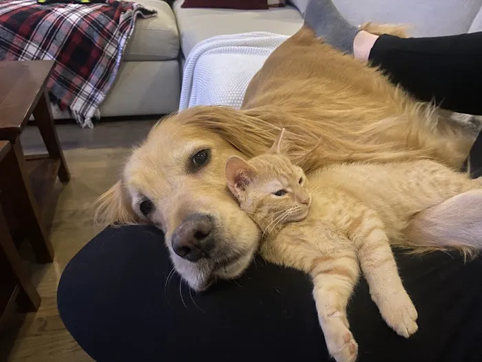 Beltway Animal Hospital 5