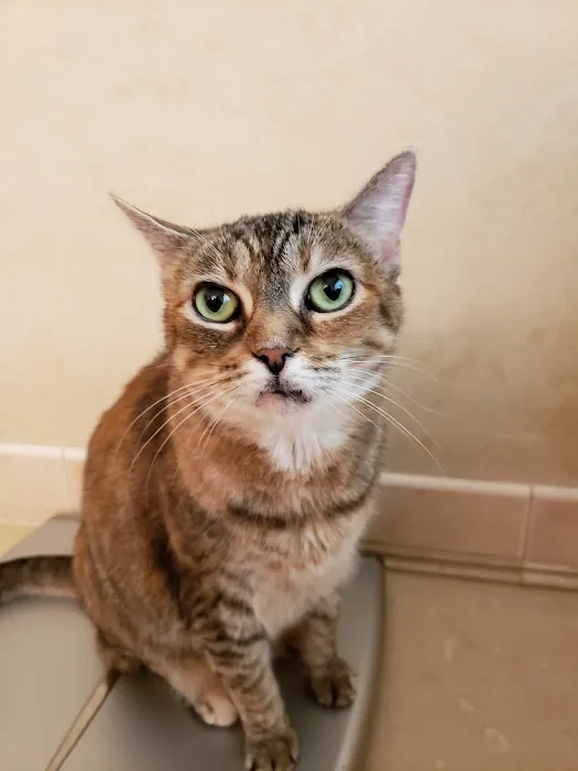 Northwest Animal Hospital 5