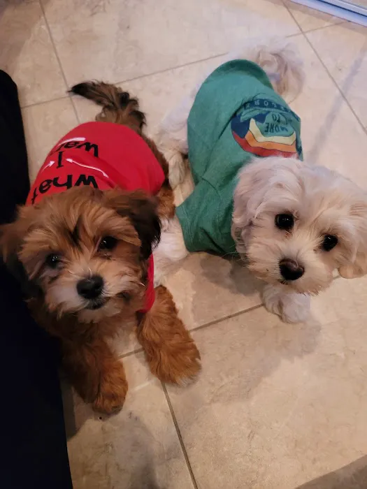 Northwest Animal Hospital 3