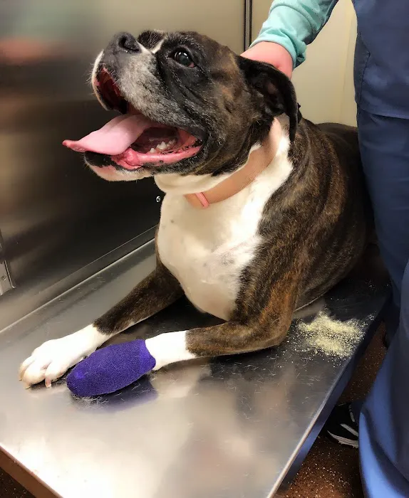 Northwest Animal Hospital 1