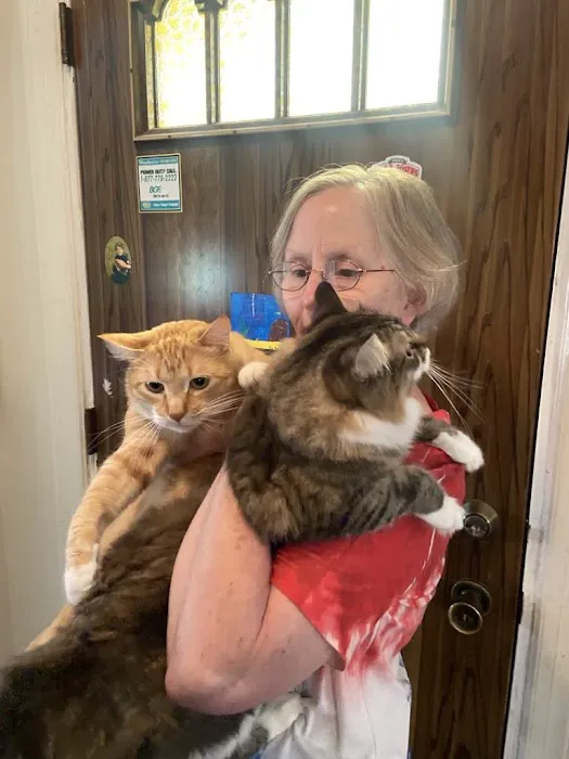 Metropolitan Cat Hospital 1