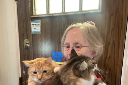 Metropolitan Cat Hospital