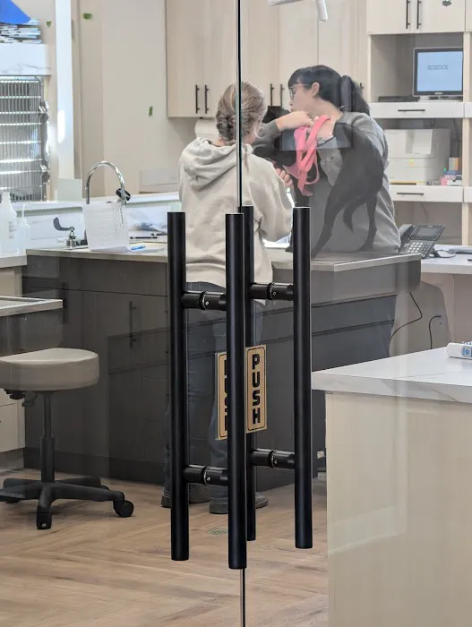 EastOver Veterinary 12