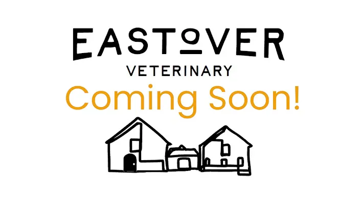 EastOver Veterinary 12