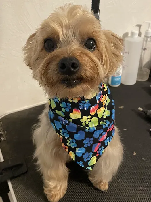 Westview Animal Hospital 10