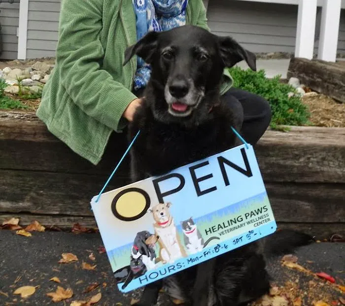 Healing Paws Veterinary Wellness Center 2