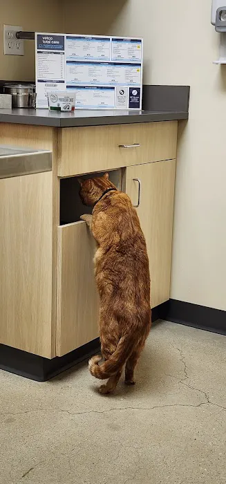 Vetco Total Care Animal Hospital 2