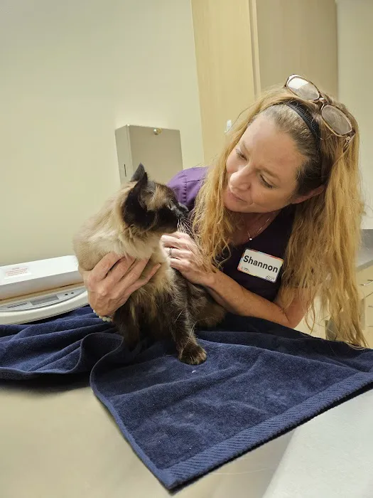 Vetco Total Care Animal Hospital 5