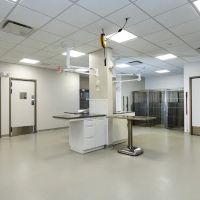 Bayside Animal Medical Center ico