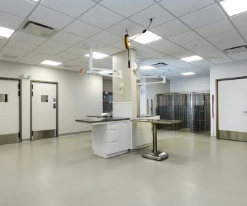 Bayside Animal Medical Center