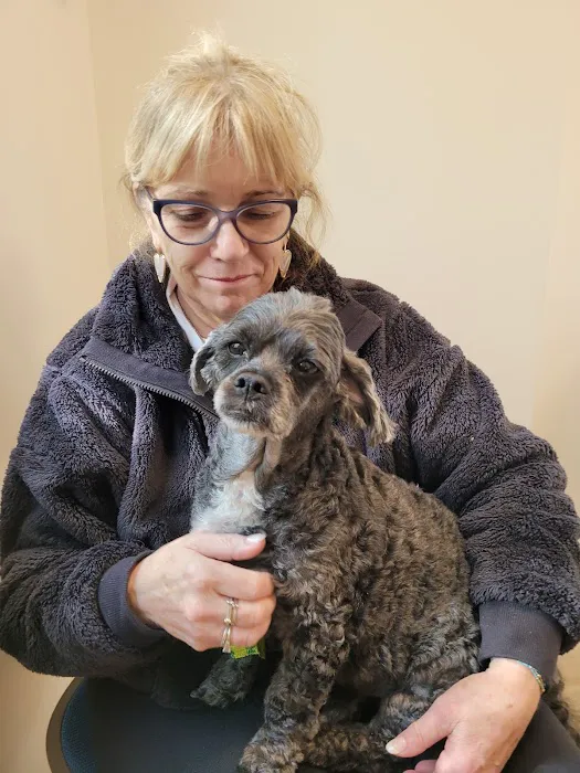 Bayside Animal Medical Center 7