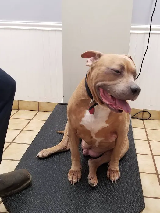 Calvert Animal Hospital 12