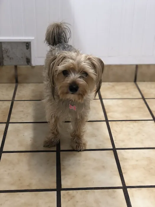 Calvert Animal Hospital 12
