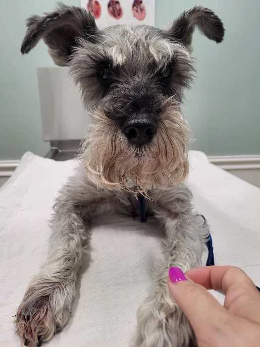Calvert Animal Hospital 12