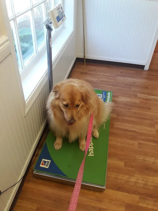 Chesapeake Animal Clinic 9