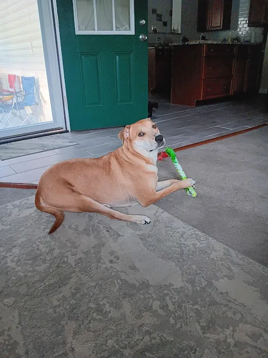 Chesapeake Animal Clinic 3
