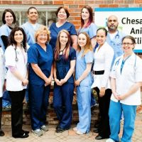 Chesapeake Animal Clinic ico