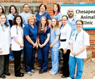 Chesapeake Animal Clinic