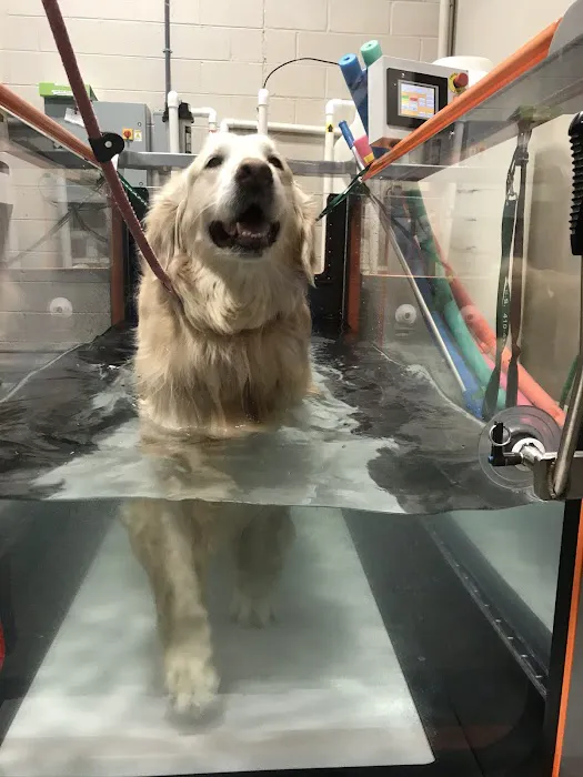 Mid-Atlantic Animal Specialty Hospital 10